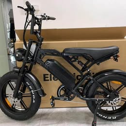 Electric Bike 48V 750W 45km/h